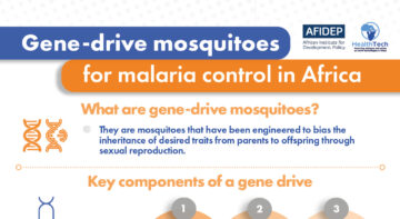 Gene-drive mosquitoes for malaria control in Africa